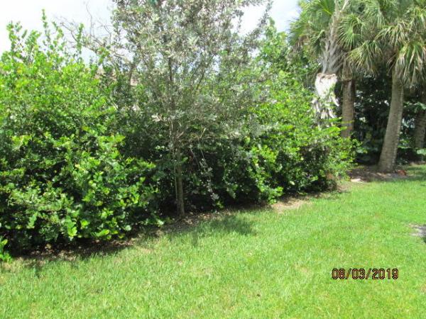 Plum At Boca Pointe, 6717 Via Regina, Boca Raton, Florida 33433, image 2