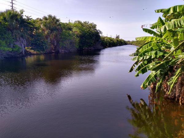 Casa Del Rio, 460 NW 20th St #3120, Boca Raton, Florida 33431, image 1