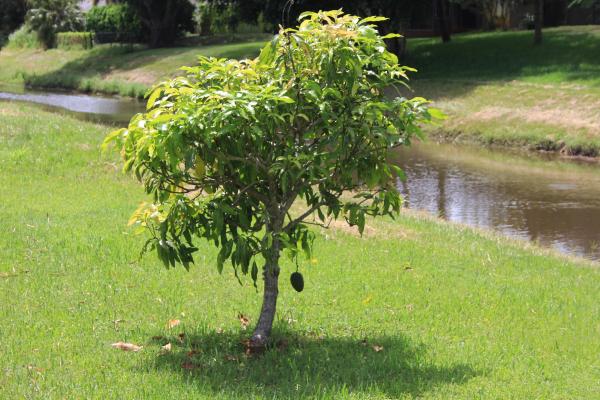 Riverview, 1037 SE Bywood Ave, Port St. Lucie, Florida 34983, image 1