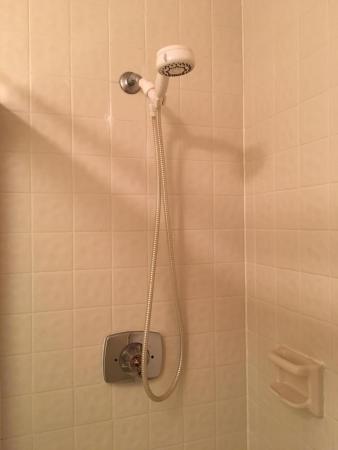 Boca Glades, 8304 Boca Glades Blvd E, Boca Raton, Florida 33434, image 2