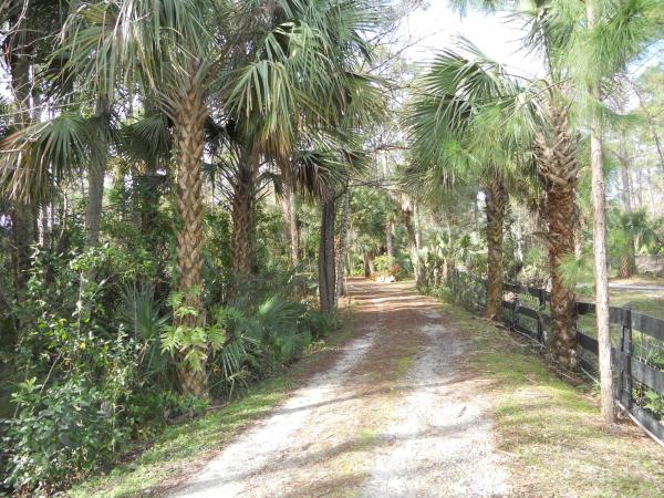 Loxahatchee Groves Residential, 1453 E Rd, Loxahatchee Groves, Florida 33470, image 2