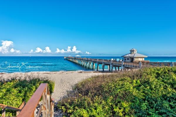 Paloma, 12277 Aviles Cir, Palm Beach Gardens, Florida 33418, image 2