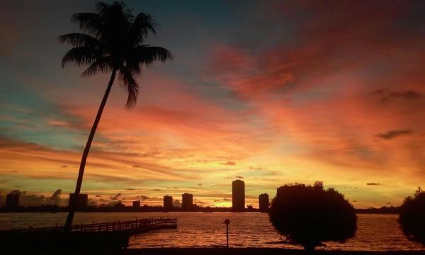Lake Harbor Cove, 3040 Lake Shore Dr #205, Riviera Beach, Florida 33404, image 2