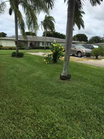 High Point Of Delray 2, 537 High Point Dr #B, Delray Beach, Florida 33445, image 2