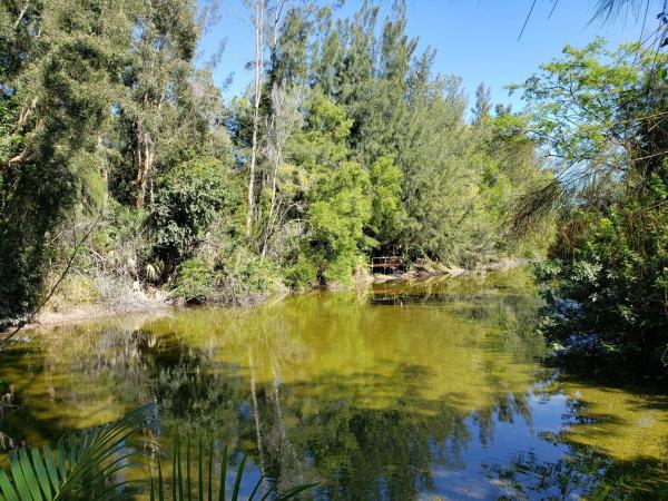 Palm Beach Little Ranches, 11725 S Rambling Dr, Wellington, Florida 33414, image 2