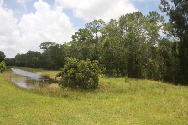 Homeland, 11178 Roselynn Way, Lake Worth, Florida 33449, image 1