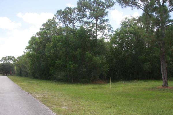 Homeland, 11178 Roselynn Way, Lake Worth, Florida 33449, image 2