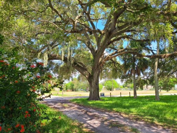 Fort Pierce Residential, 307 N 11th St, Fort Pierce, Florida 34950, image 1