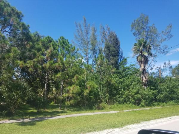 The Acreage, 11165 Tangerine Blvd, West Palm Beach, Florida 33412, image 1