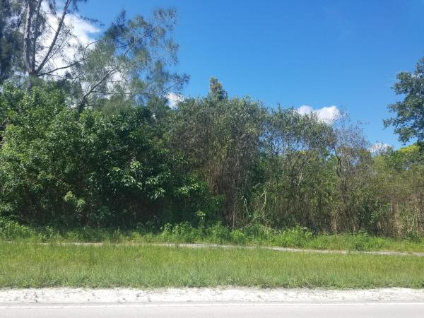 The Acreage, 11165 Tangerine Blvd, West Palm Beach, Florida 33412, image 2