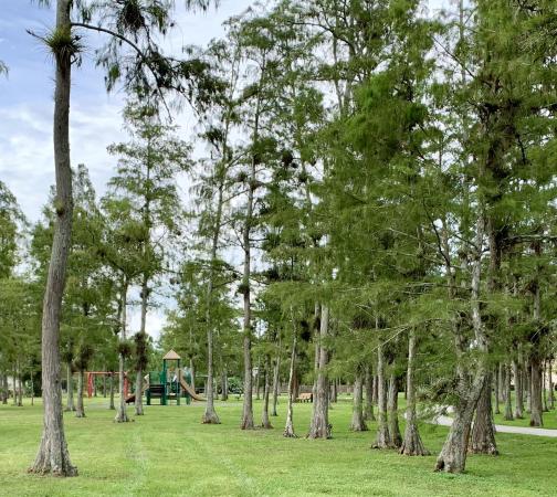 Sugar Pond Manor, 13797 Exotica Ln, Wellington, Florida 33414, image 3