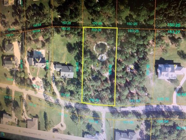 Pine Hollow, Tbd Pine Needle Dr, Fort Pierce, Florida 34945, image 2