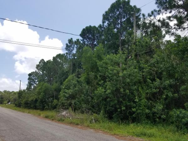 The Acreage, 17774 81st Ln N, Loxahatchee, Florida 33470, image 2