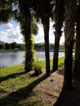Sarento At San Matera, 2812 Grande Pkwy #114, Palm Beach Gardens, Florida 33410, image 2