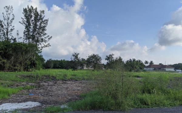 The Acreage, 17843 35th Pl N, Loxahatchee, Florida 33470, image 2