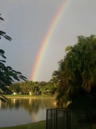 Countryside Estates, 10388 Oak Meadow Ln, Lake Worth, Florida 33449, image 2