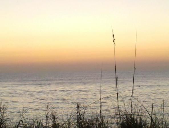 Midport Place, 1506 SE Royal Green 203rd Cir #203, Port St. Lucie, Florida 34952, image 1