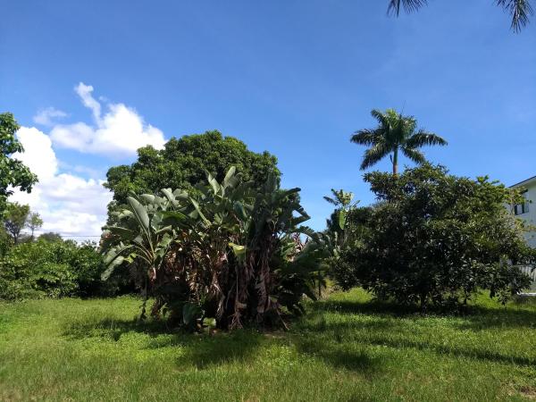 471 NW 9th St, Boca Raton, Florida 33432, image 1