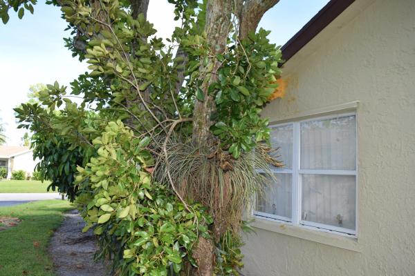 Lucerne Lakes North, 7126 Pine Bluff Dr, Lake Worth, Florida 33467, image 1