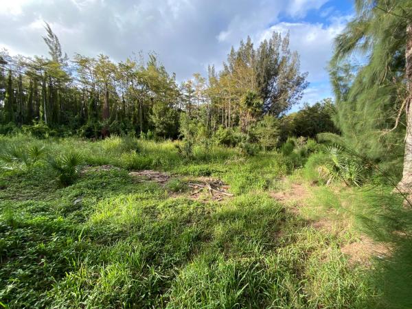 The Acreage, 0xxxx 60th St STREET, Loxahatchee, Florida 33470, image 2
