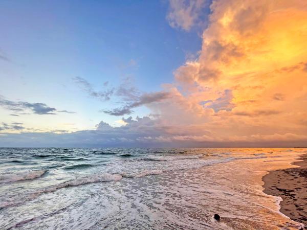 Placide, 1800 S Ocean Blvd #0042, Boca Raton, Florida 33432, image 3