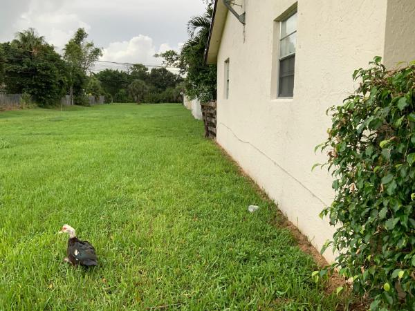 Greenacres No HOA, 3067 Jackson Ave, Greenacres, Florida 33463, image 1