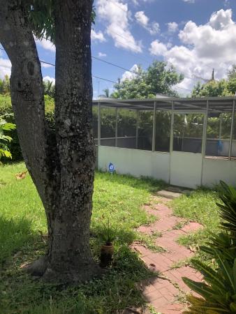 Miramar Tropical, 2819 Bahama Dr, Miramar, Florida 33023, image 3