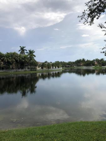 Windsor Palms, 14650 SW 33rd Ct, Miramar, Florida 33027, image 3