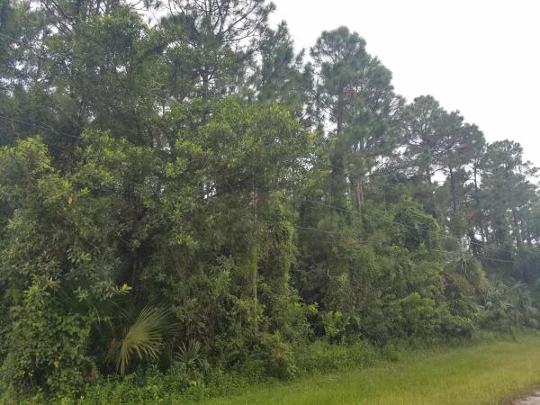 The Acreage, 17646 89th Pl N, Loxahatchee, Florida 33470, image 1