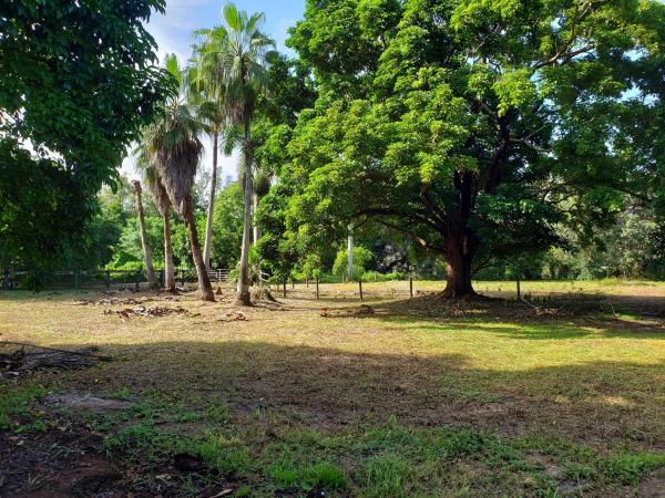 Fox Trail, 16848 Shetland Ln, Loxahatchee, Florida 33470, image 1