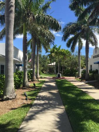 Palm Beach Shores Residential, 118 Cascade Ln, Palm Beach Shores, Florida 33404, image 1