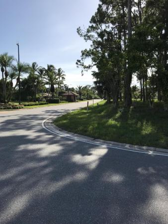 City Of Atlantis, 553 N Country Club Dr, Atlantis, Florida 33462, image 1