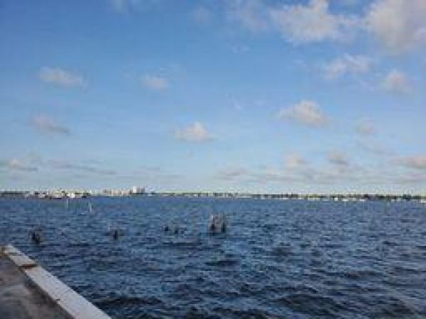 Regency Surf & Racquet Club, 4500 N Flagler Dr #B19, West Palm Beach, Florida 33407, image 2