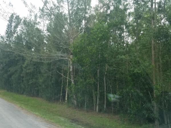 The Acreage, 17580 40th Run N, Loxahatchee, Florida 33470, image 2
