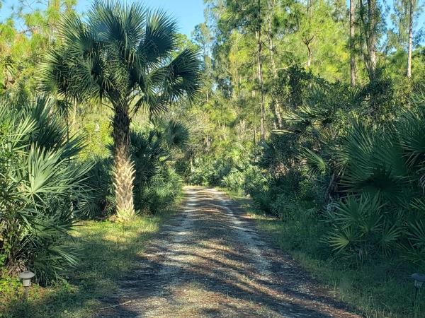 Loxahatchee Groves Residential, 14781 Gruber Ln, Loxahatchee Groves, Florida 33470, image 2