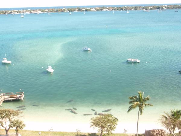 The Palm Beach House, 5600 N Flagler Dr #406, West Palm Beach, Florida 33407, image 2