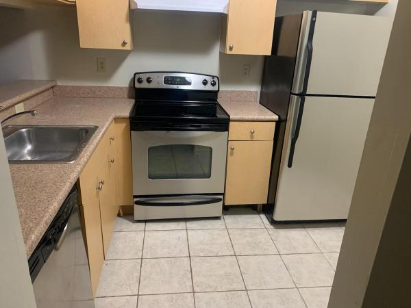 St Andrews Palm Beach, 947 Lake Terry Dr #C, West Palm Beach, Florida 33411, image 2
