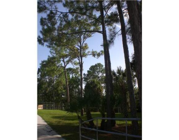 15820 N 79th Ct, The Acreage, Florida 33470, image 1