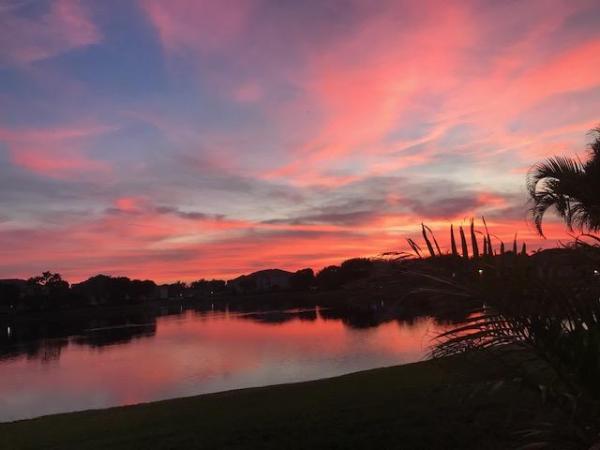 Paradise Bay At Andros Isle, 2355 Curley Cut, West Palm Beach, Florida 33411, image 1