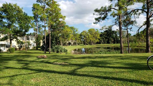 Palm Beach Trace, 803 Palm Beach Trace Dr, Royal Palm Beach, Florida 33411, image 2