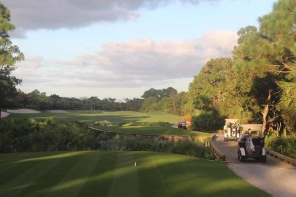 Avignon At Frenchman's Reserve, 133 Abondance Dr, Palm Beach Gardens, Florida 33410, image 1