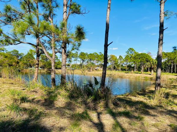 Regina Palms, 407 Weatherbee Rd, Fort Pierce, Florida 34982, image 2