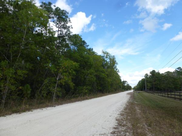 The Acreage, 3507 Dellwood Rd, Loxahatchee, Florida 33470, image 1