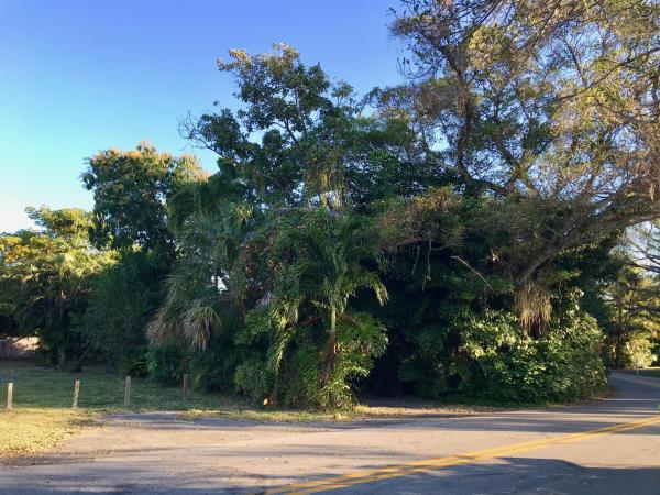 Hypoluxo Island, 717 SE Atlantic Dr, Lantana, Florida 33462, image 2