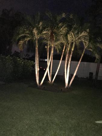 Paddock Park 1 Of Wellington, 14660 Stirrup Ln, Wellington, Florida 33414, image 2