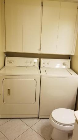 Sandalwood At Boynton Beach, 431 Live Oak Ln, Boynton Beach, Florida 33436, image 1
