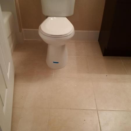 The Club At St Lucie West, 201 SW Palm Dr #108, Port St. Lucie, Florida 34986, image 3