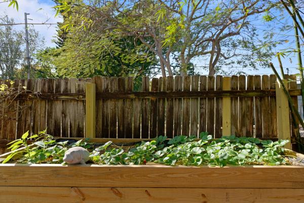Delray Manors, 408 Manchester St, Boca Raton, Florida 33487, image 3