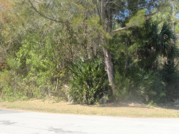 Indian River Estates, Tbd Silver Oak Dr, Fort Pierce, Florida 34982, image 1