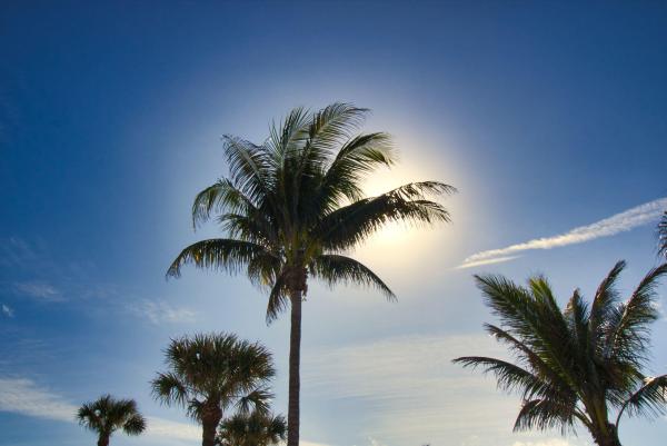 Golf Villas At Ocean Village, 2400 S Ocean Dr #5617, Fort Pierce, Florida 34949, image 1